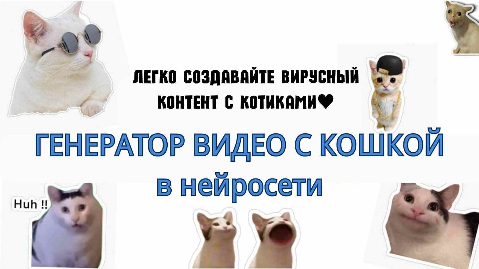 генератор видео кота ИИ