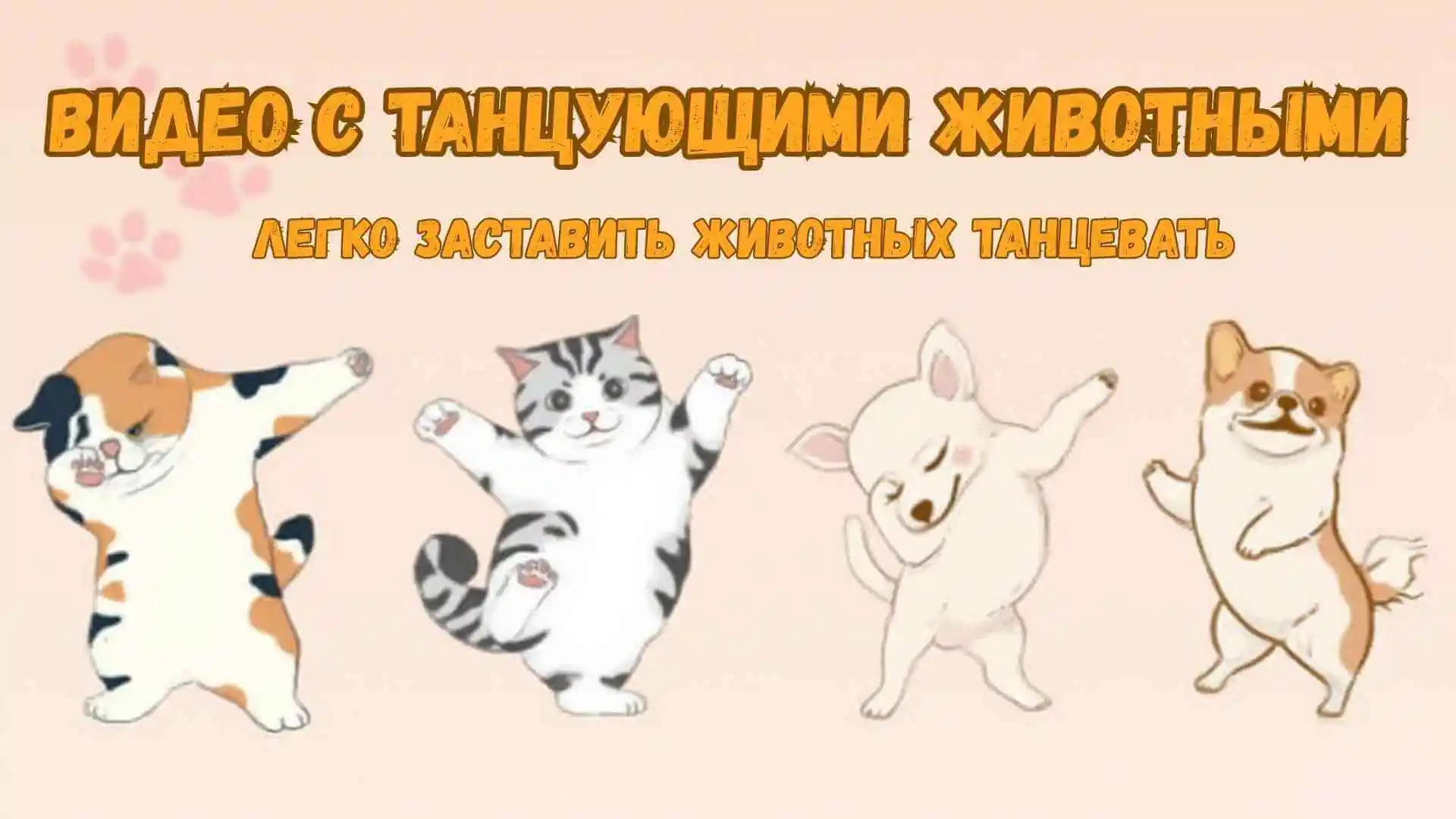 Как создать танцующие животные видео с помощью нейросети