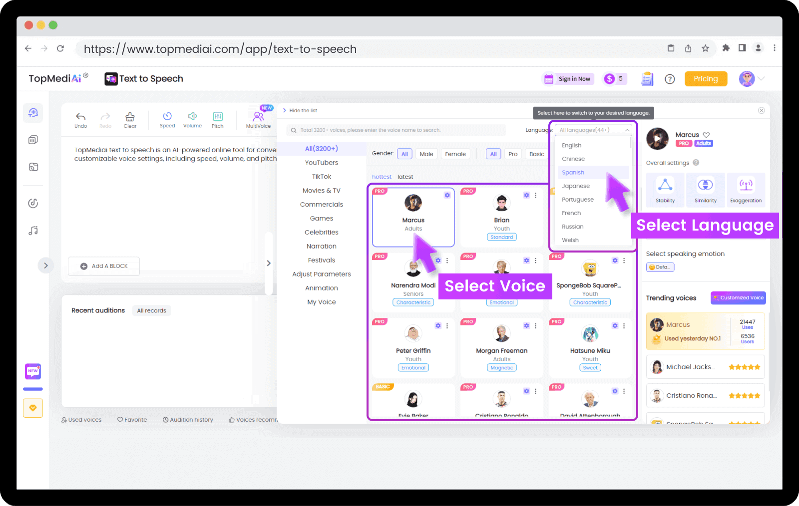 Step 2. Select voice and language.