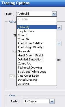 adobe choose the custom option