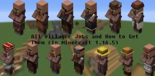 what is villager
