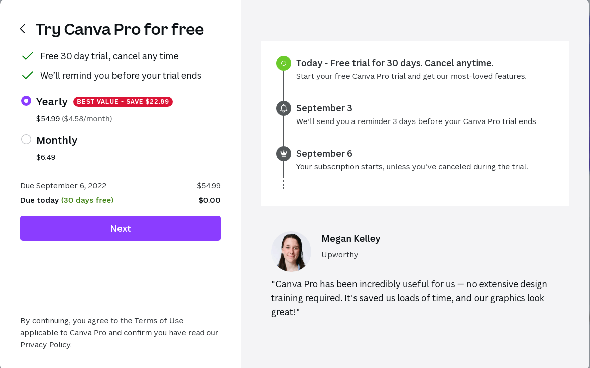 canva pro paid price