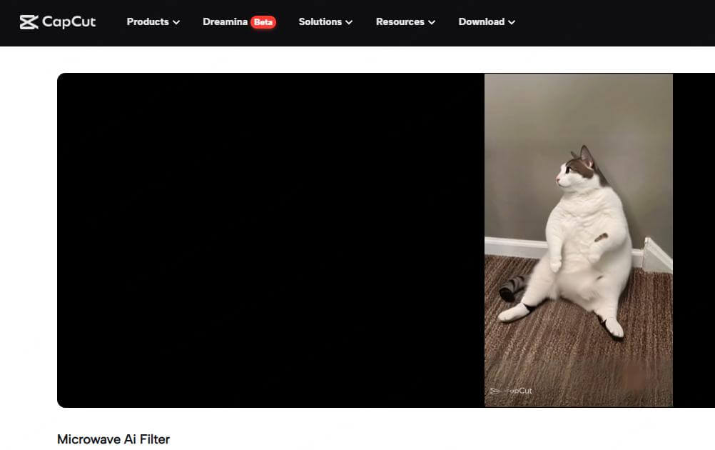 capcut microwave ai filter