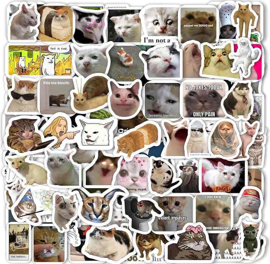 содержание мема о коте