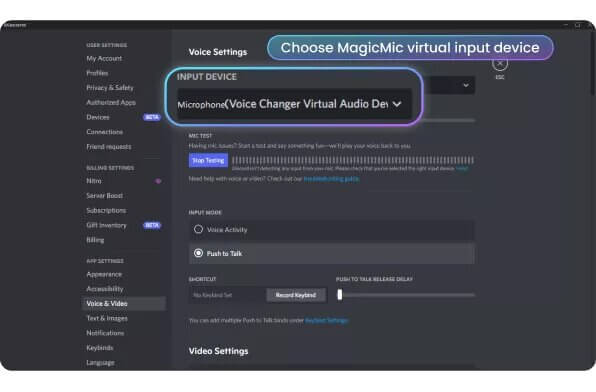 discord voice setting with voice changer