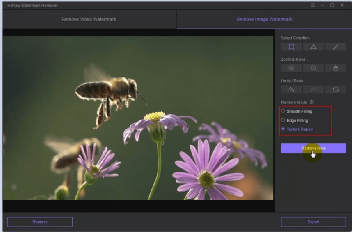 hitpaw remove bee image watermark