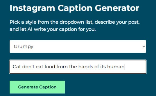 hootsuite captions generator