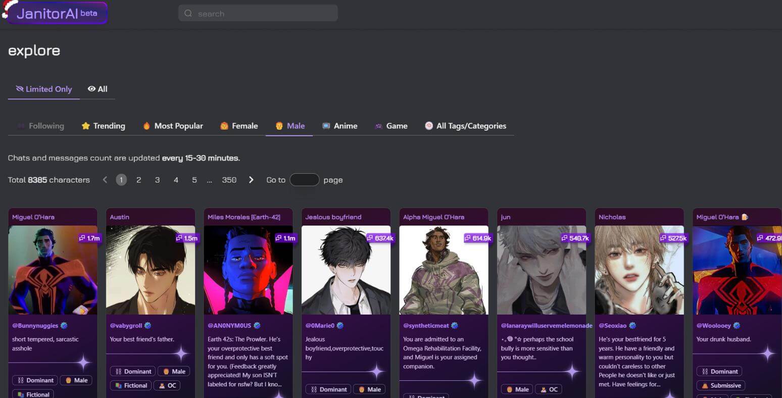 janitor ai chat bot interface