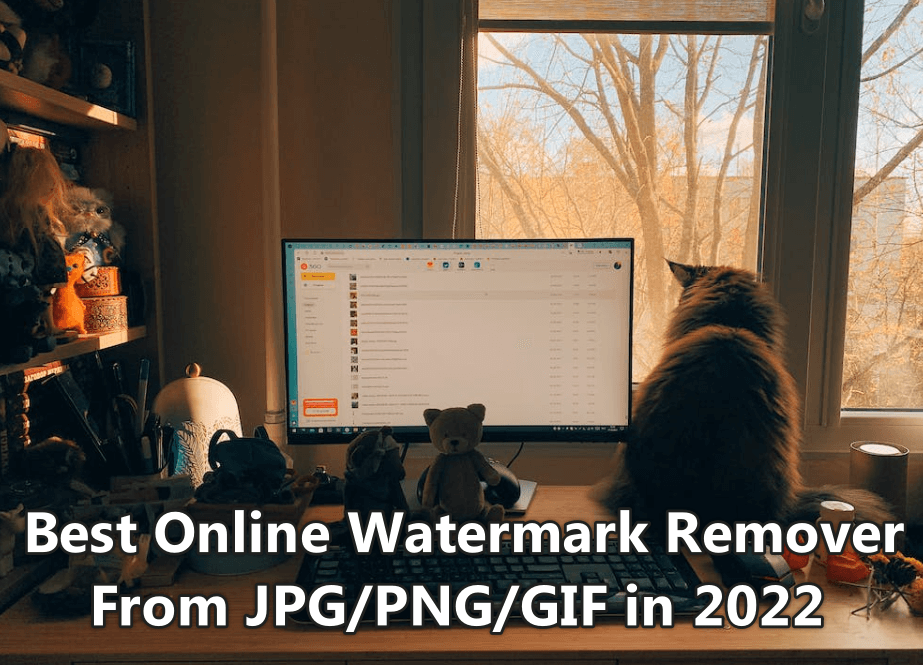 2022 Updated!] Top 3 Ways to Remove Watermark from GIF Free Online