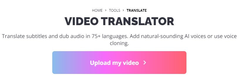 kapwing video translator