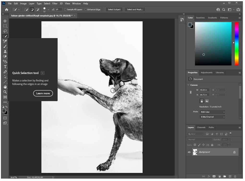 Với Photoshop, bạn hoàn toàn có thể xóa bất kỳ nền trắng nào chỉ với vài thao tác đơn giản. Khám phá cách làm qua bức ảnh liên quan để tạo ra những bức hình đẹp và ấn tượng hơn.