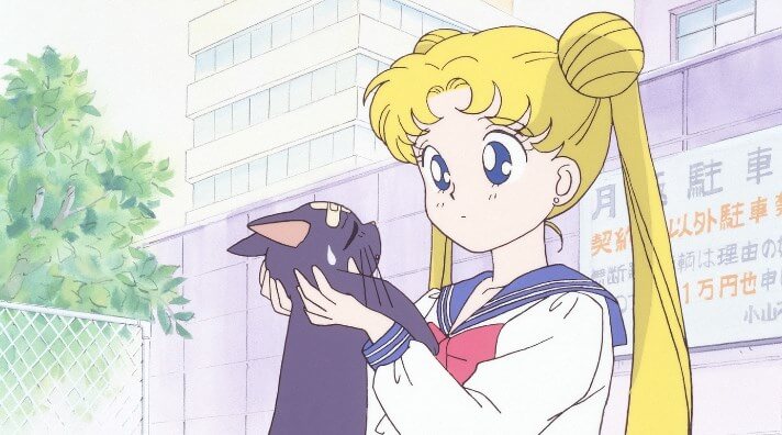 who is sailor moon