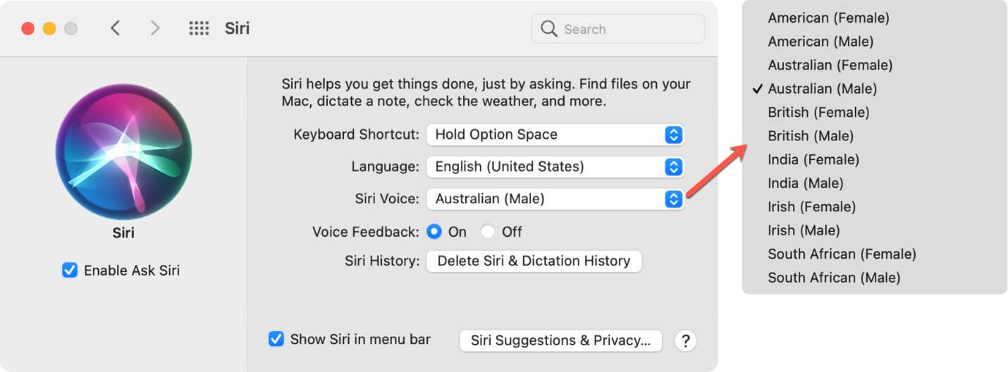 siri voice setting mac