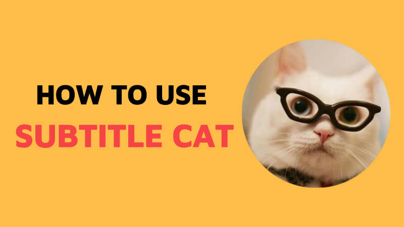 how to use subtitle cat