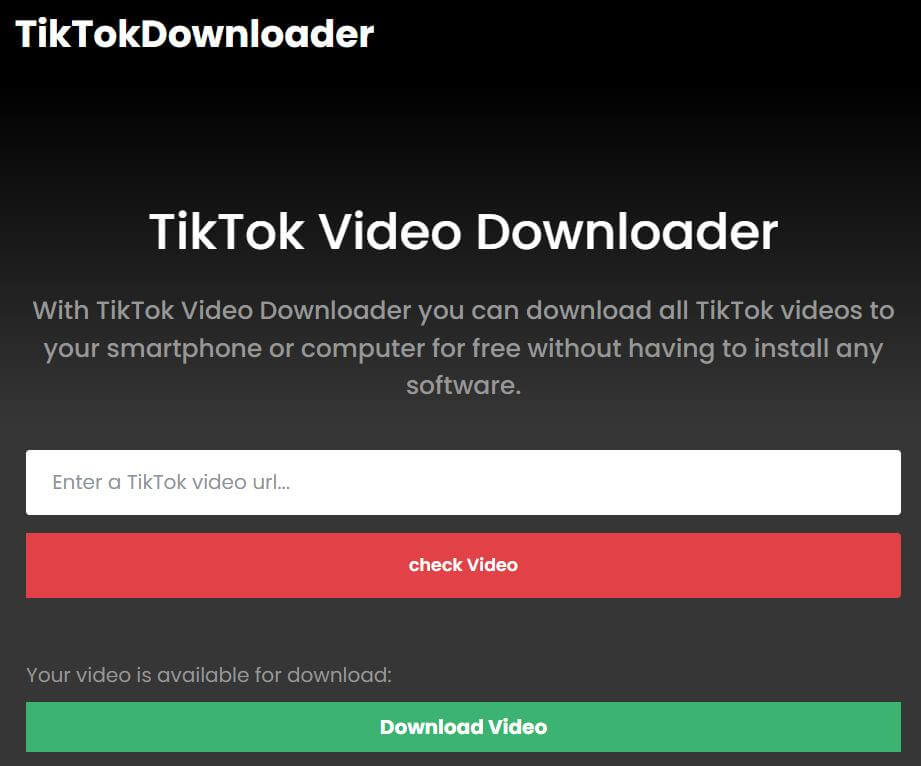 Download Videos From TikTok to MP4 Format