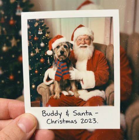 topmediai christmas photo result