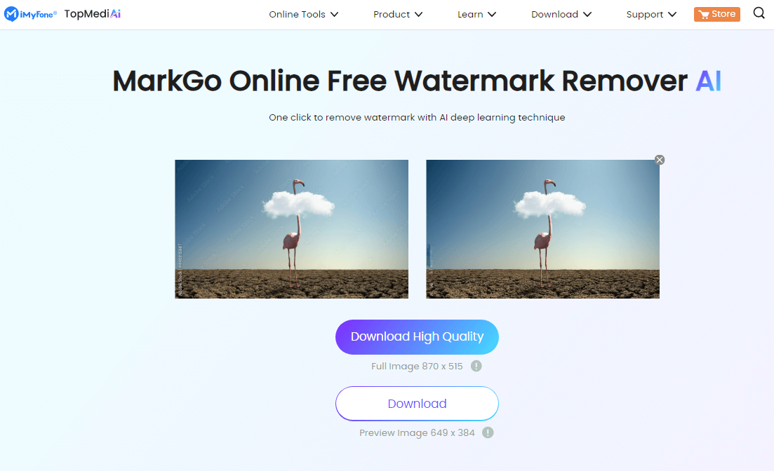 Easy]How to Remove Adobe Stock Watermark Online & Offline