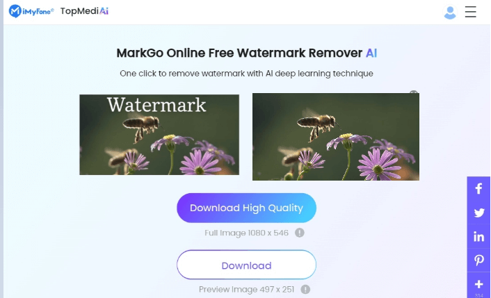 topmediai remove bee image watermark
