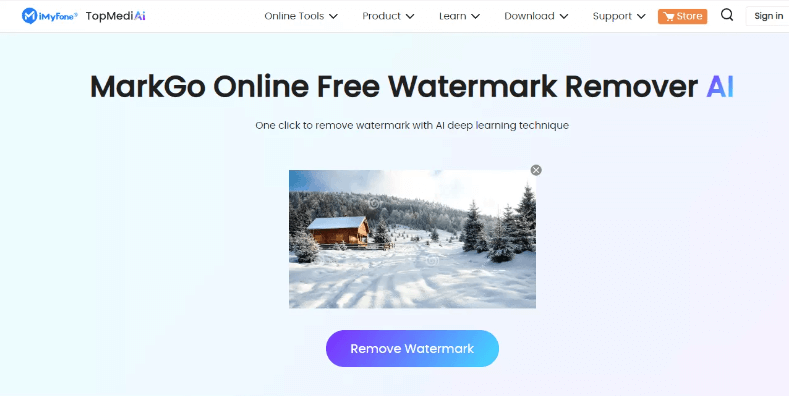 tiktok watermark remover