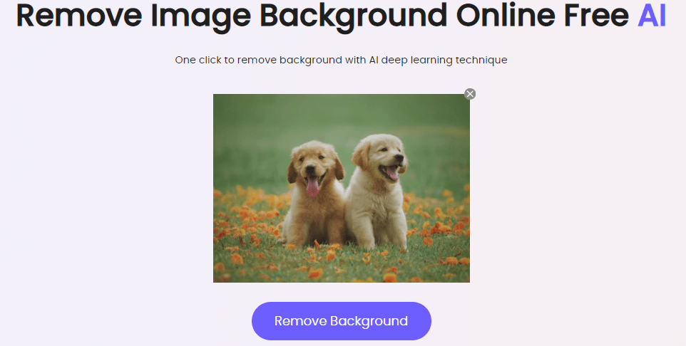 How to Change Photo Background to White Online [Free]