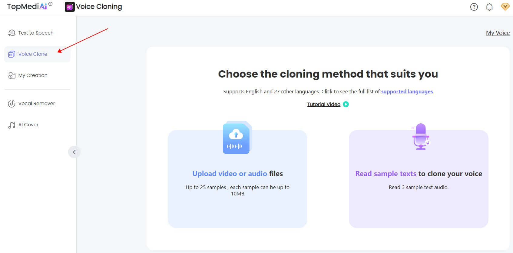 access to voice cloning