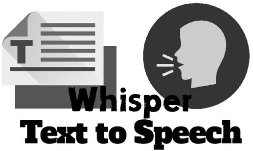 speech to text whisper