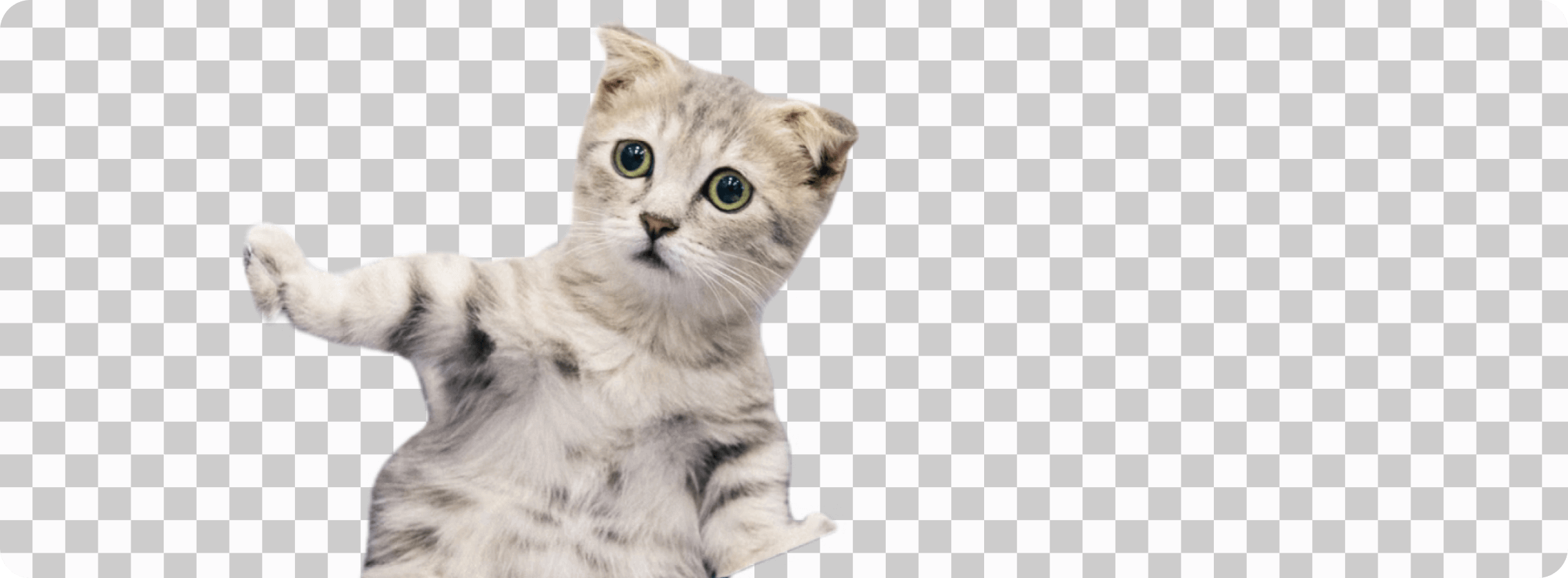 Free Transparent Background Maker: remove white background from image