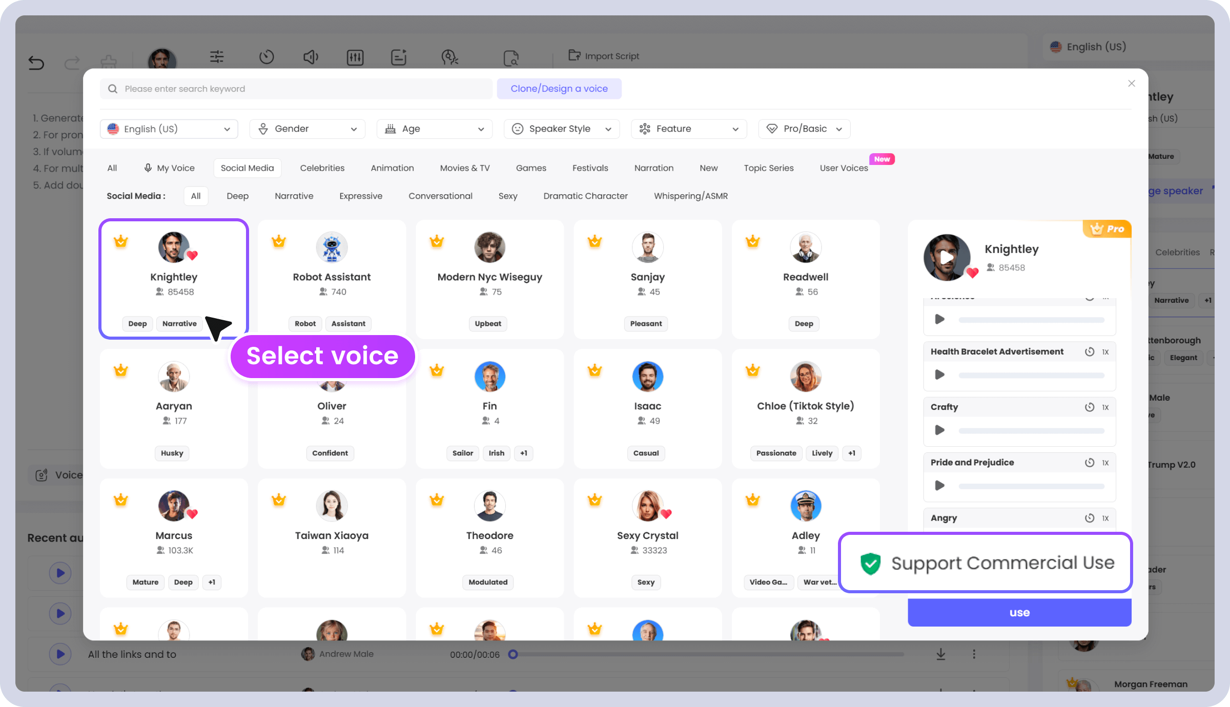 Step 2. Select voice and language.