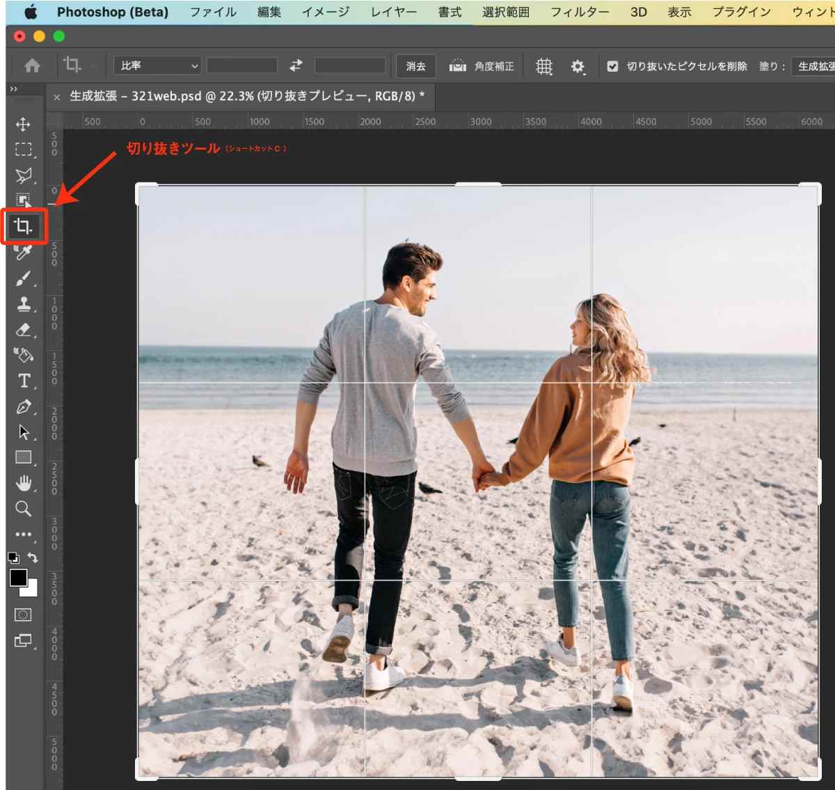TopMediaiで画像を拡張する前の写真