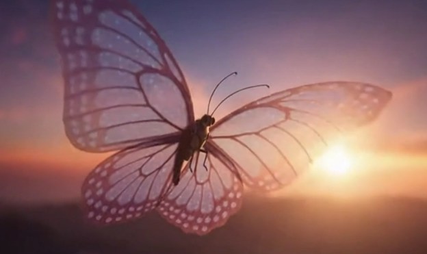 إنشاء مقاطع فيديو من الصور