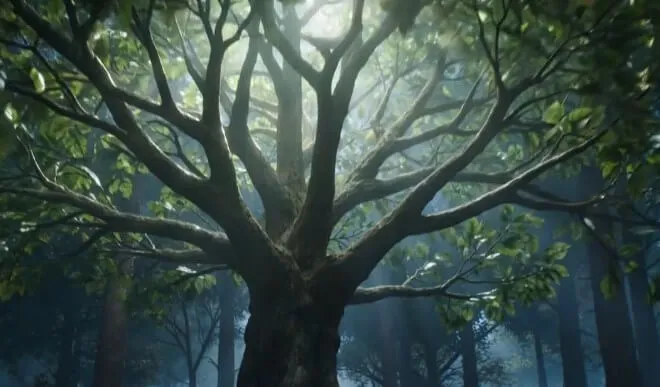 إنشاء مقاطع فيديو من الصور