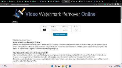 removedor de marca d'água de vídeo on-line