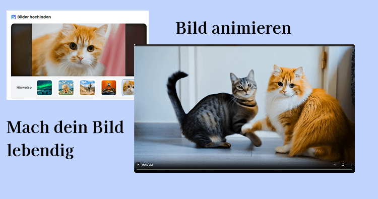 Bild animieren