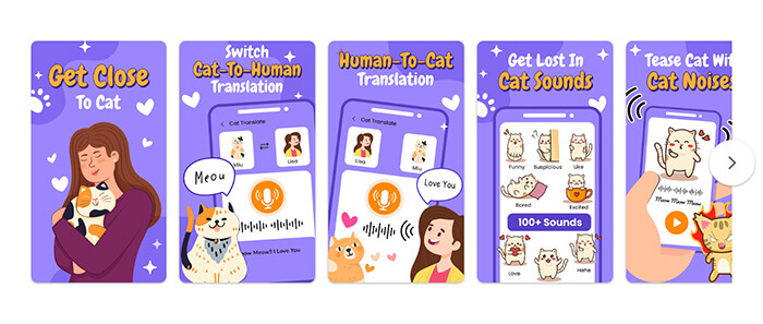 human to cat translator