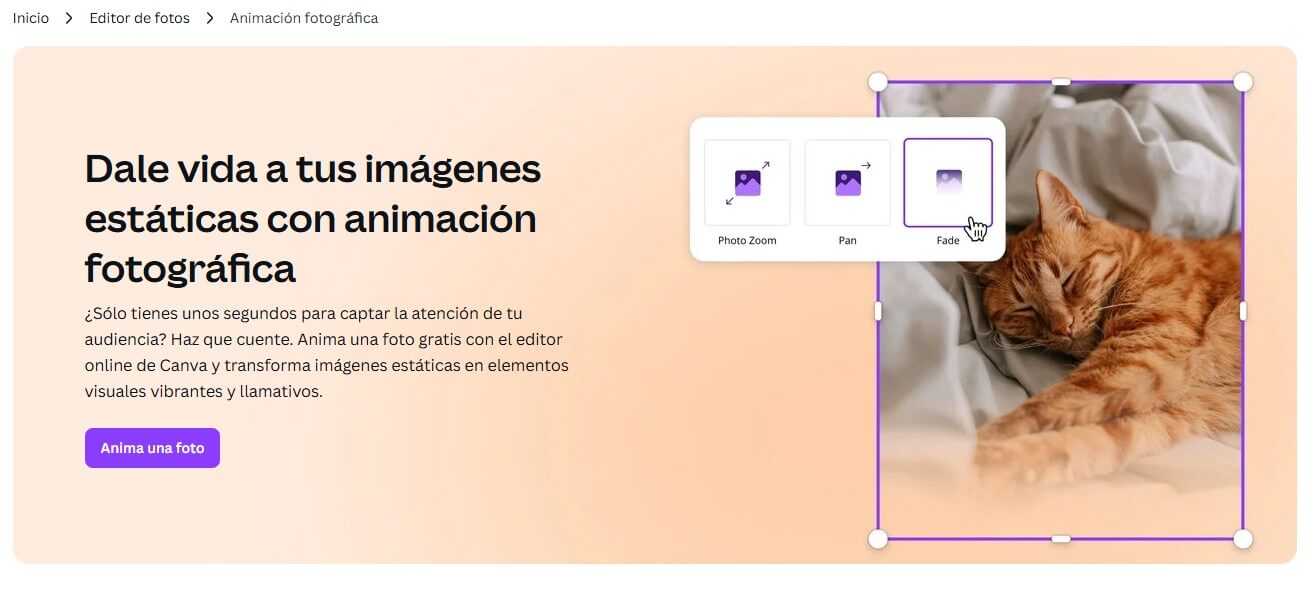 Canva: Animar una foto con IA