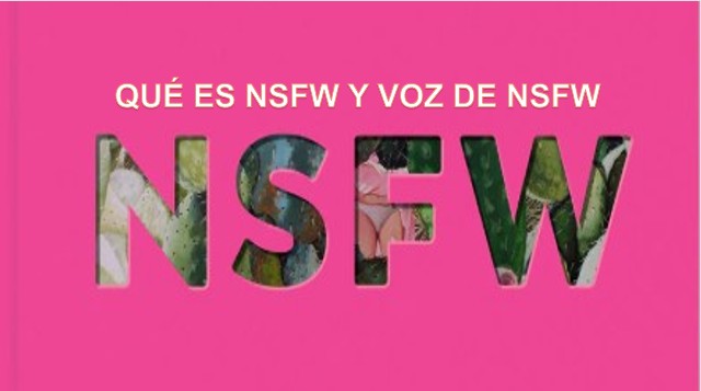 NSFW qué es