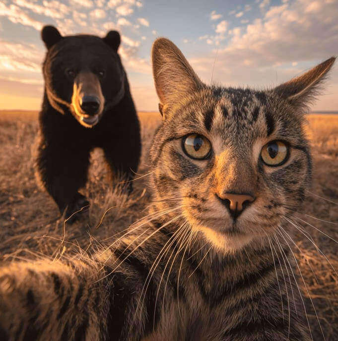 Convertir imagen en video IA