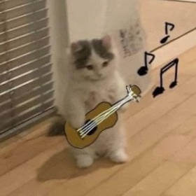고양이 밈