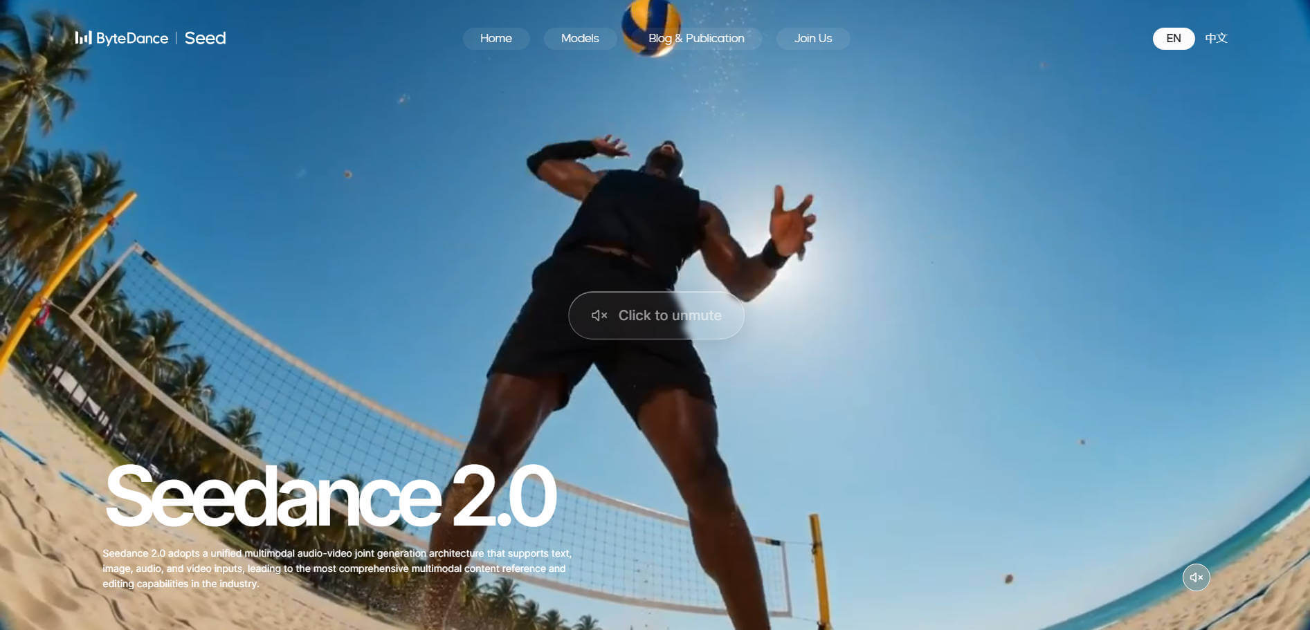 seedance2.0 공식 홈페이지