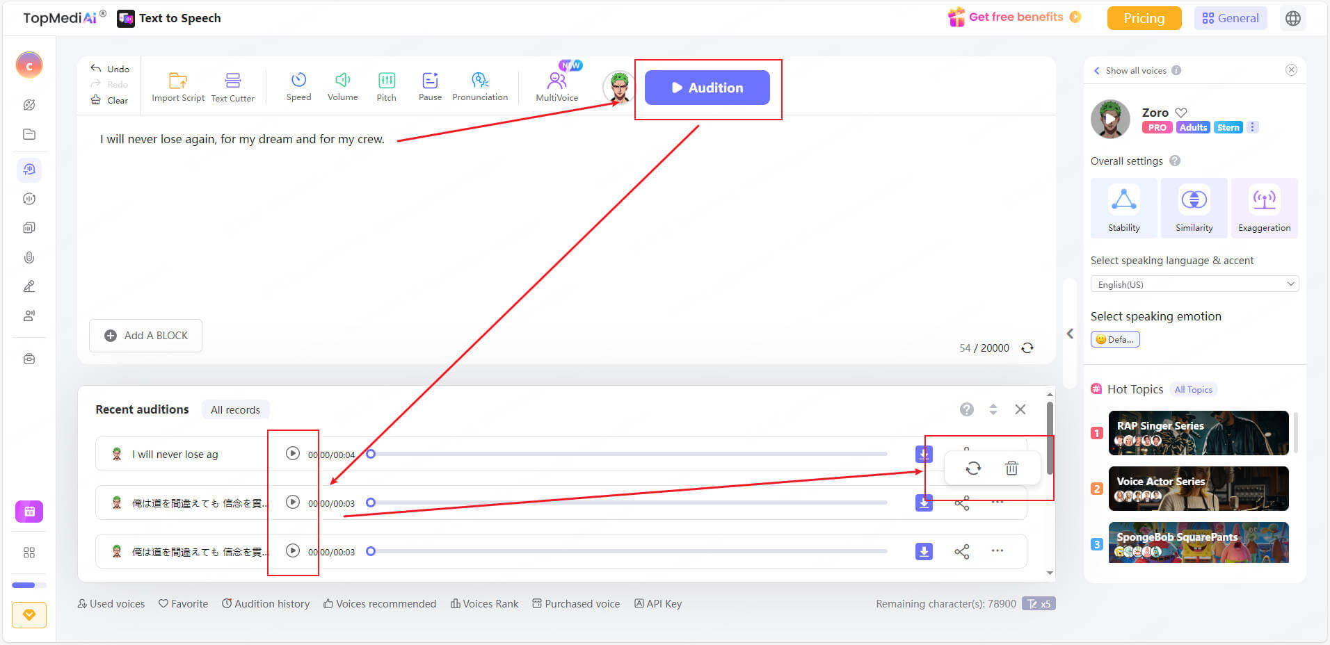 TopMediai TTS 텍스트 입력