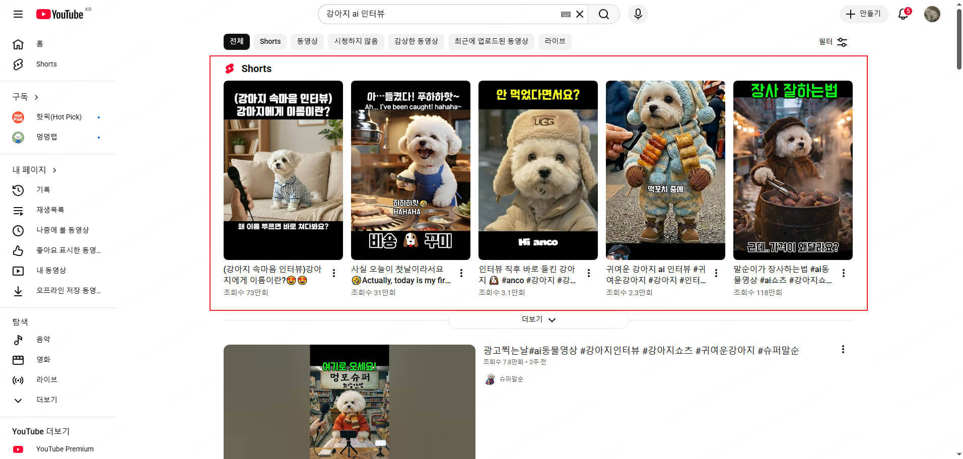 유튜브 강아지 인터뷰 쇼츠