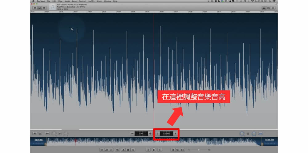 anytune調整音高