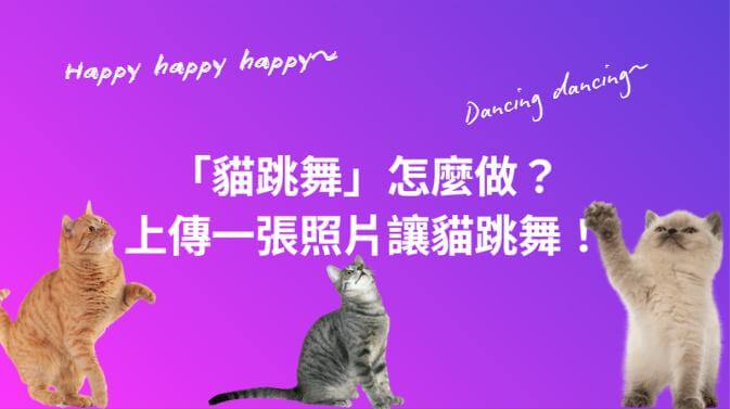 貓跳舞