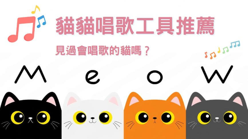 貓唱歌