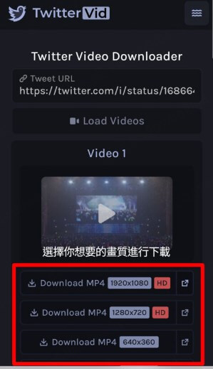 選擇推特影片品質