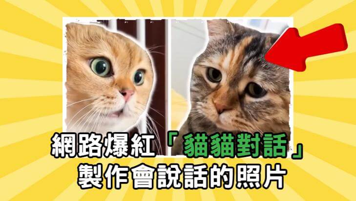 照片說話