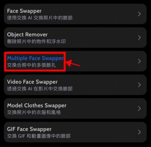 多重臉部交換