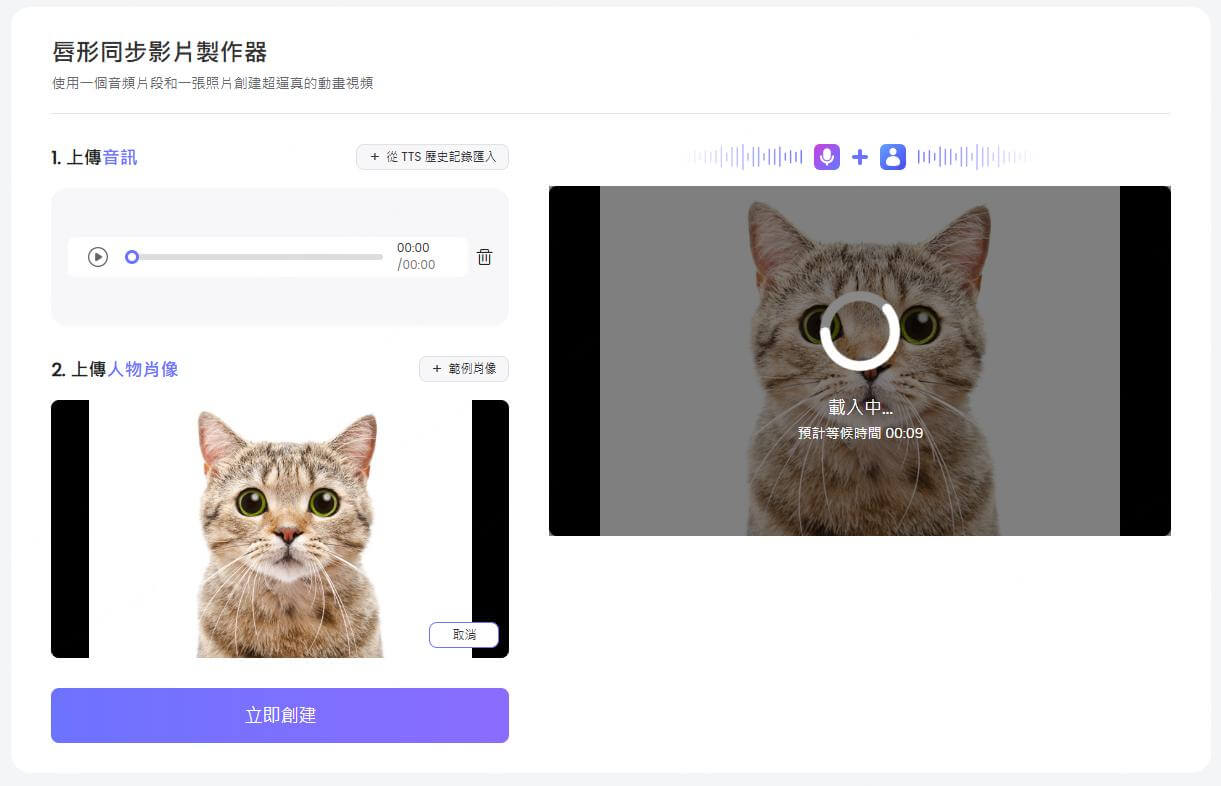 貓貓唱歌影片