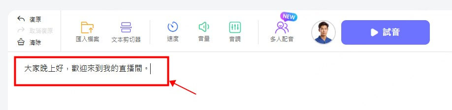 輸入轉為語音的直播文本