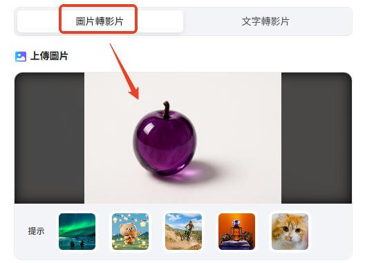 上傳圖片